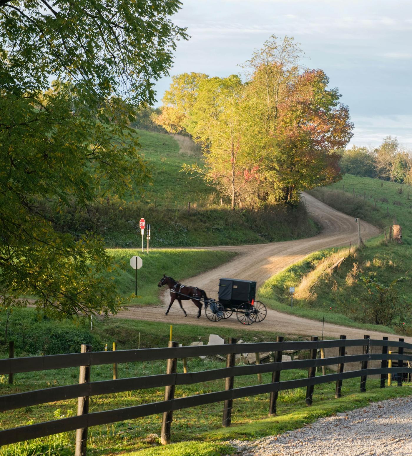 FAQ's | Amish Country Ohio | Visit Amish Country