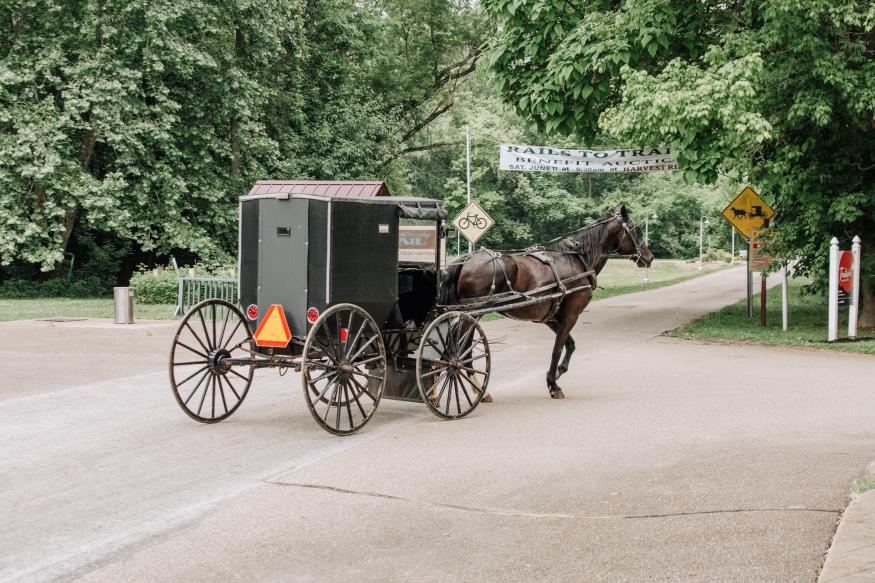 Amish Buggy on Trail