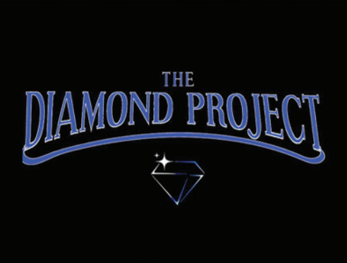 The Diamond Project - Neil Diamond Christmas Show