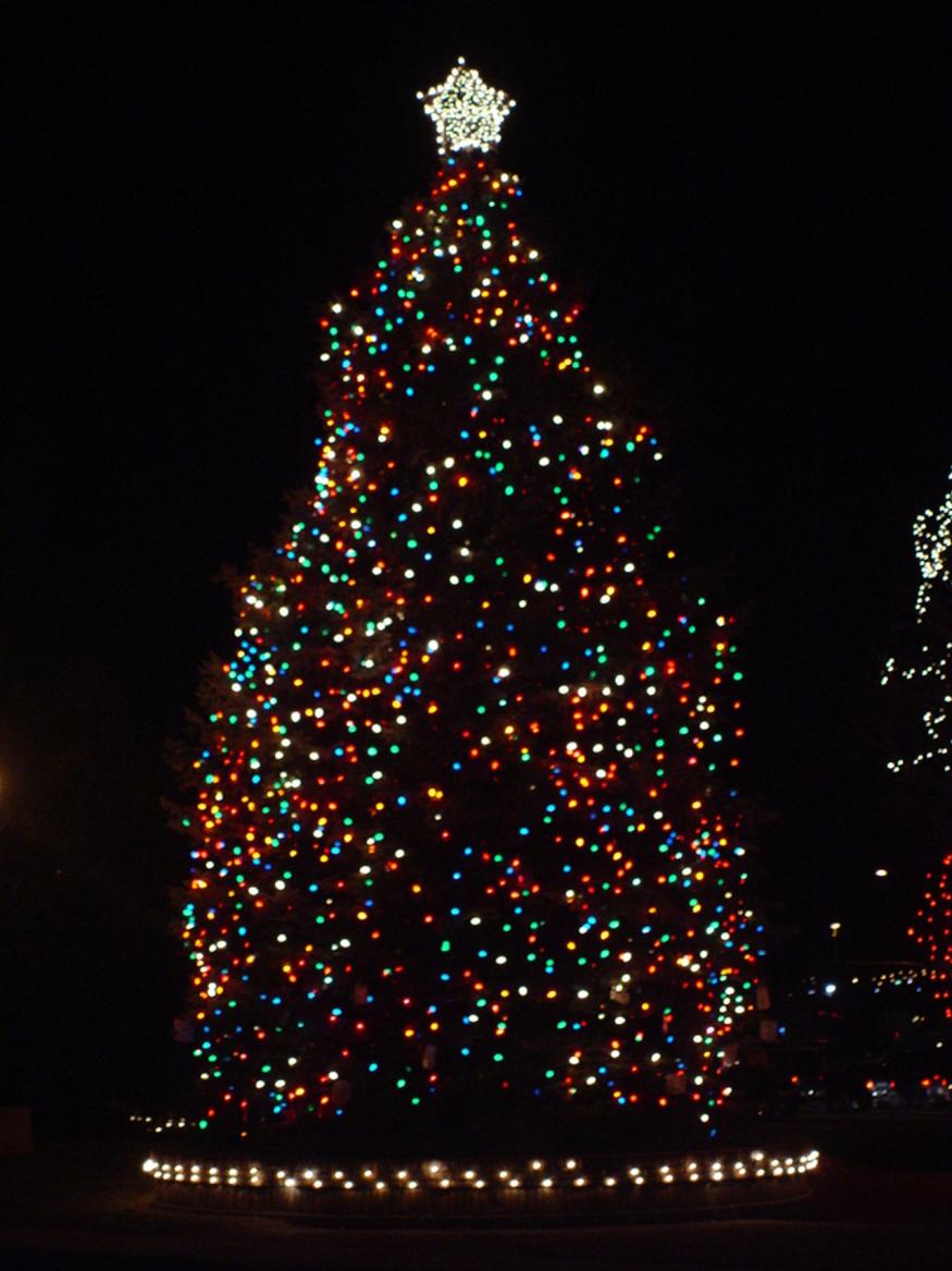 Walnut Creek Annual Christmas Tree Lighting