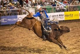 Rodeo at Harvest Ridge Event Center