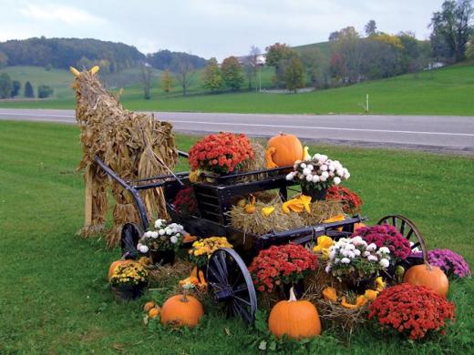 Farm at Walnut Creek, The