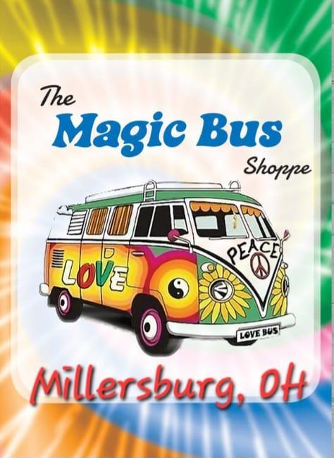 Magic School Bus | Magic school bus, Magic school, School bus
