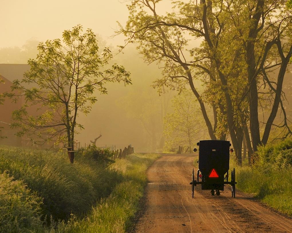 Green Amish Farm Wallpaper Border HAH15152B