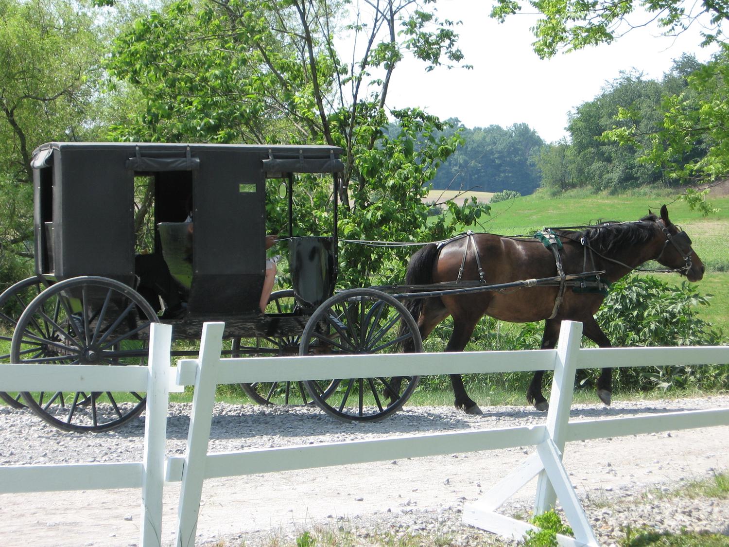 Amish Country Ohio Visit Amish Country Amish Country Trips Oh