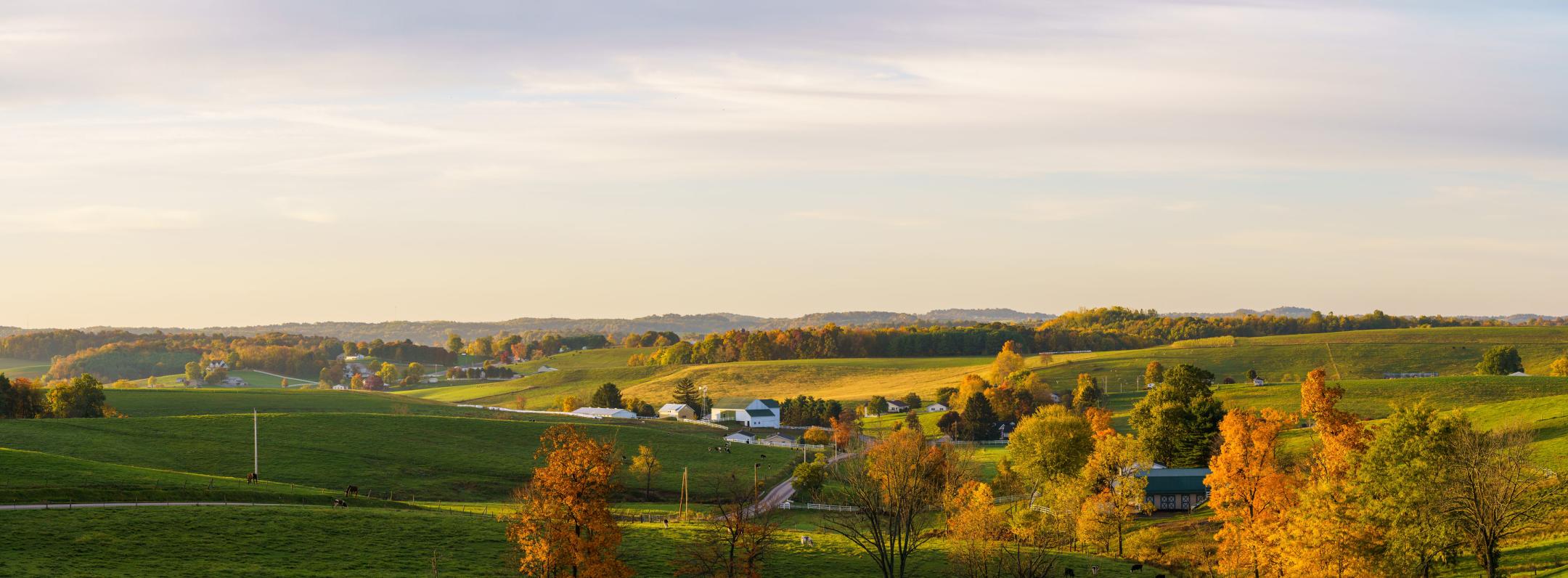 Experience Amish Country In Autumn | Visit Amish Country