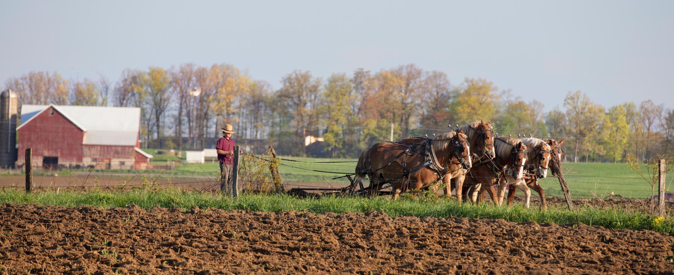 Amish Culture & Traditions | Local History | Millersburg, OH